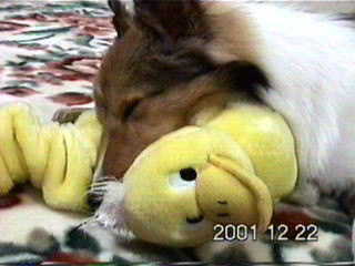 ���`��A�����Ȃ�����������B�i�����ꂨ�j