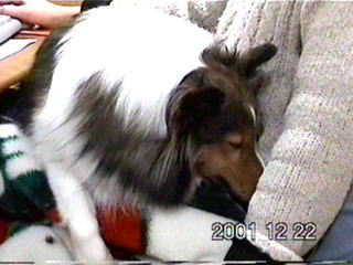 �R�R����ԁ�