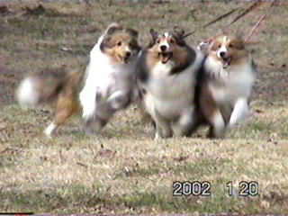 ����`����