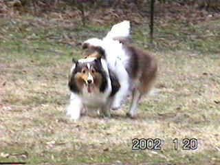 �H�ׂ��Ⴂ���`���A�p�N���b�I