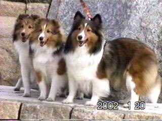 �ǂ��ł����H