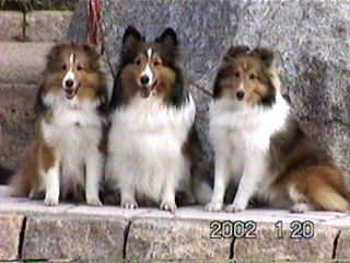 �͂��A�ꂨ���΂��āI