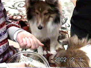 �܂��́A�ꂨ���E�E�E