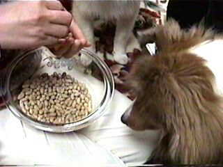 �����āA�ށ[���E�E�E