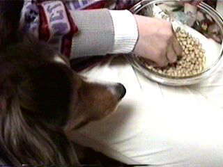 ����ς�A�܂���E�E�E