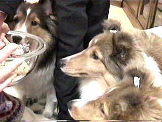 ���𒍎��I(��)