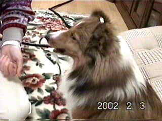 �������̂Q�I