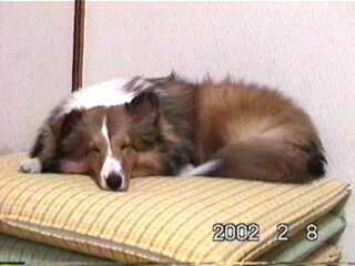 �N�����Ȃ��łˁ�