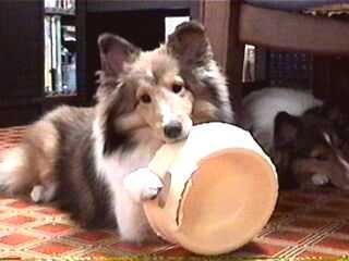 �܂��A������Ȃ���I