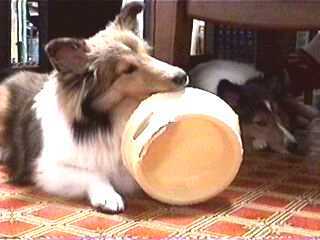 �H��̉^��?!�i���M�{���{���I�j