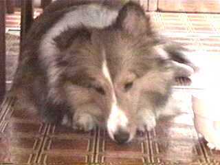 �����́`�B