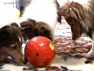 ����������܁B