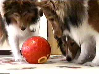 ���������A���肤��B