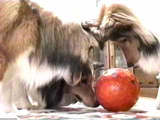 ���傤���A���낱��B