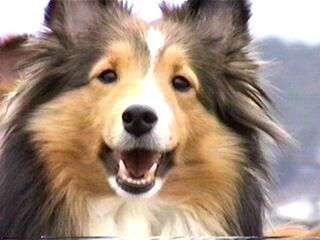 �܂���A���ꂵ�����B