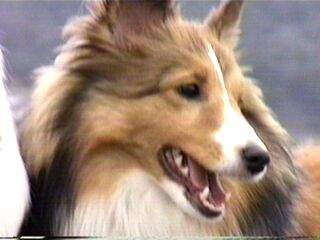 ������l��B