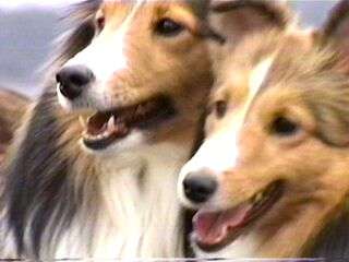 �e���f�V�^�B(^_^�U