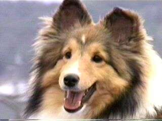 (*�Ѓ�*)���ց�