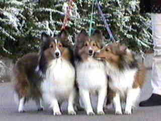 �n�b�N�V�����I