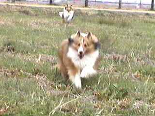 �I�z�z�z�z�E�E�E