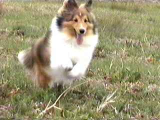 �W�����v�W�����v��