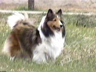 ��ꂿ������`�B