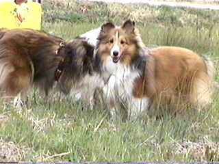 �܂��܂��V�Ԃ��`��