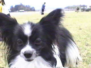 �N���X����B