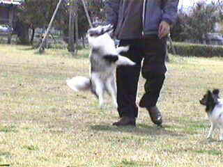 ���l�������с�