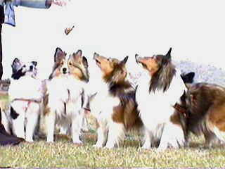 ����`��