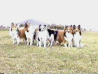 �}����������񋰂���B�B�B