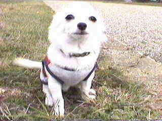 ���̓��o��������F������