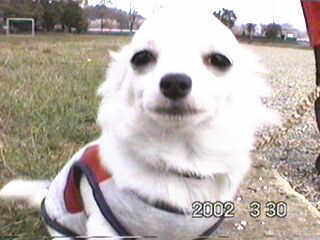 �`�����̖��v����B