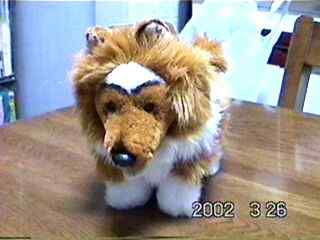 �u�撣���Ă܁`���B�v