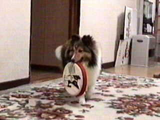 �����ė~�������ǁE�E�E�������C���I