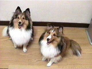 �������́H