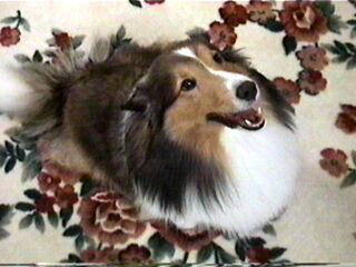 �o��������Ă邵�B(��)