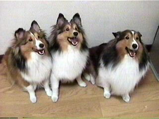 �ɂ�����B