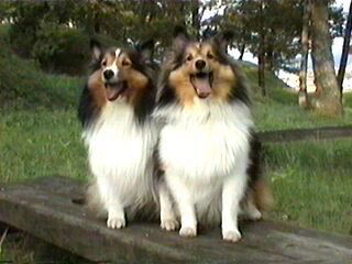 �ɂ������