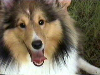 �Ƃ���ŁA�ށ[�����́H