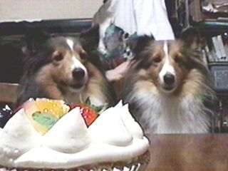 ����������������B(ToT)