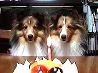 ���c�����܂���!!