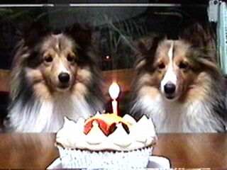 �z���g�́A���܂��B