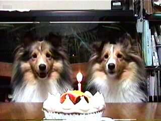 �����܂����H