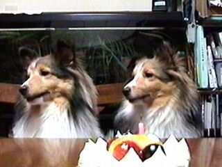 ���������`�I