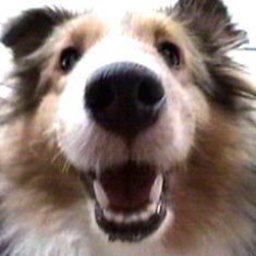 �ށ[�����B