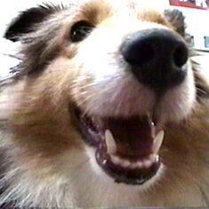 �ށ[�����B�B