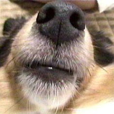 �ꂨ����B�B�B