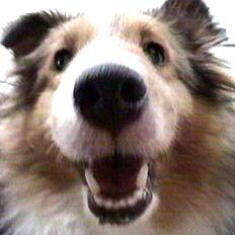 �ށ[�����B�B�B