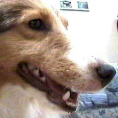 �ށ[�����B�B�B�B